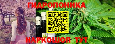 стафф Изобильный