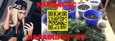 apvp Ирбит