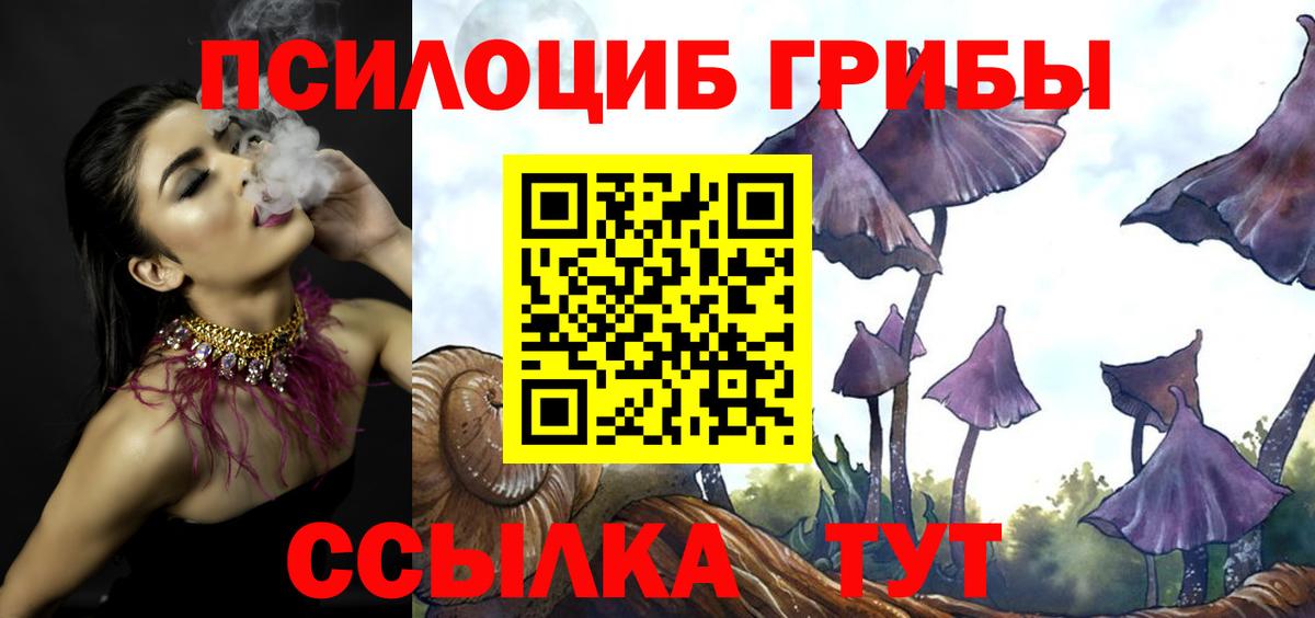 Кулебаки  Галлюциногенные грибы ЛСД  Вход с VPN 